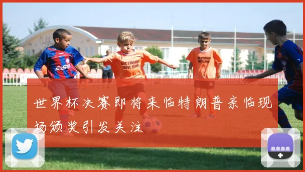 世界杯决赛即将来临特朗普亲临现场颁奖引发关注